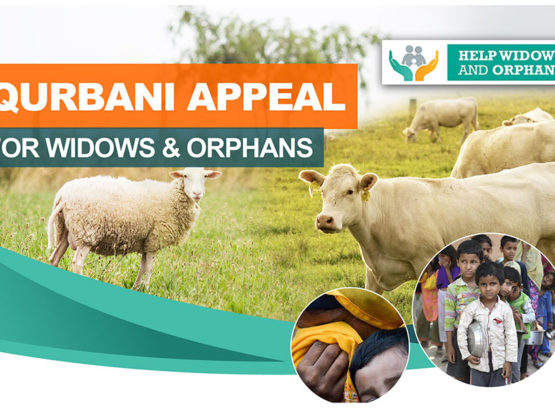 HelpQurbani-01